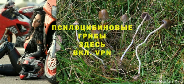 мет Армянск