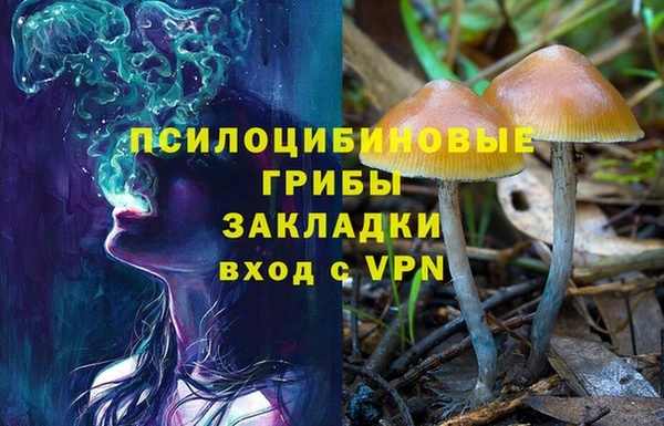 МДПВ Аркадак
